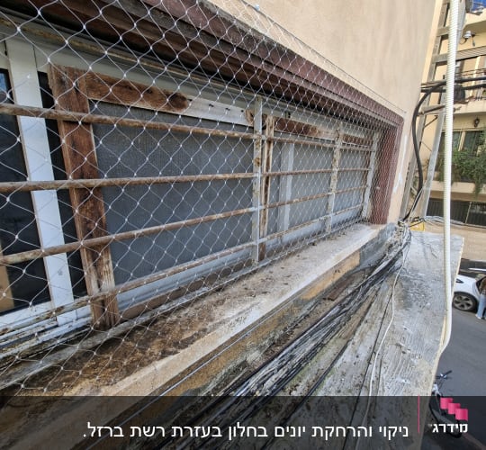 הרחקת יונים